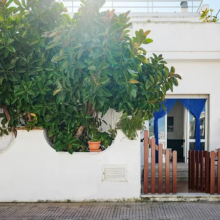 The Captain's House *